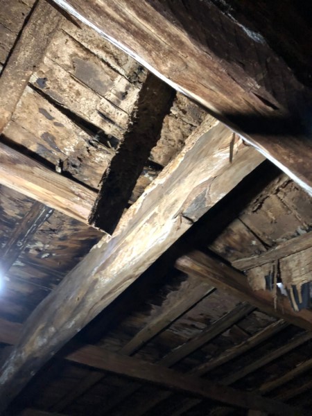 蔵　野地板　垂木　劣化